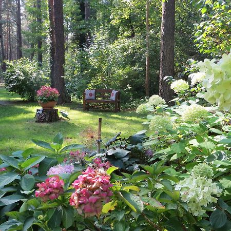 Kastavengrund - Ferienhaeuser Mit Kamin Lychen Luaran gambar